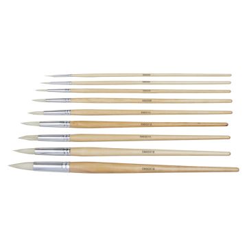 Student Round Hog Long Handled Brushes