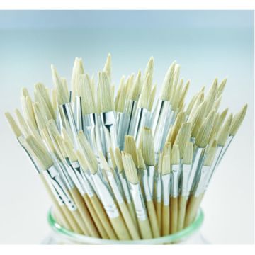 Student Short Handled Hog Class Pack. Pack of 90