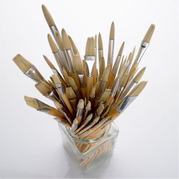 Essentials Long Handled Hog Brush Class Pack.