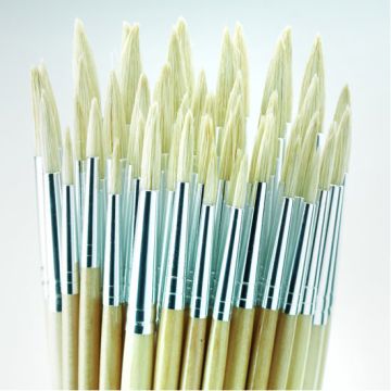 Essential Round Hog Brush Bulk Pack. Pack of 45