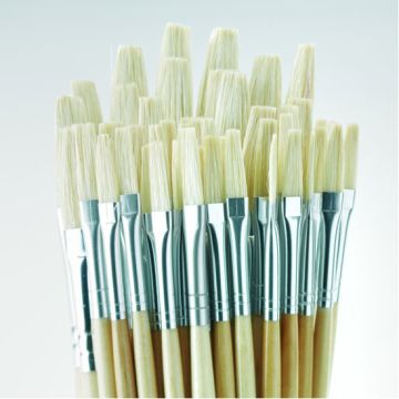 Essential Flat Hog Brush Bulk Pack. Pack of 45