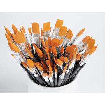 Artist Watercolour Brush Class Pack