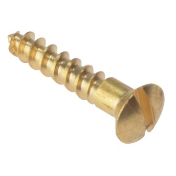 Brass Slotted Round Head Screws