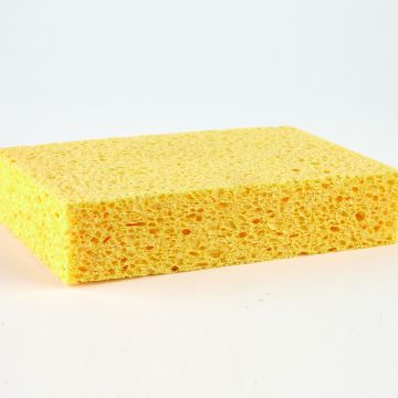 Sponge