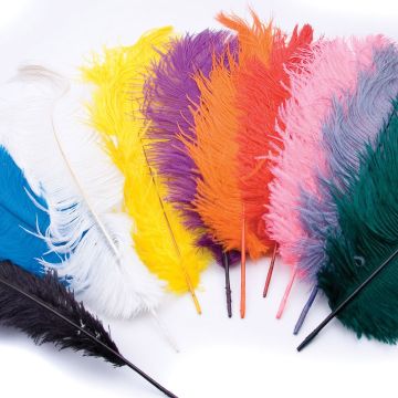 Ostrich Plumes