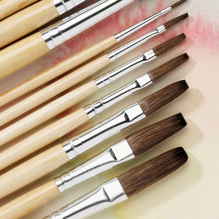 Essential Short Handled Flat Pony Brush Bulk Pack Essential Short Handled Flat Pony Brush Bulk Pack