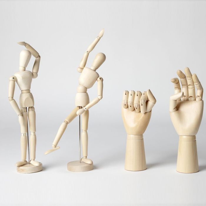 Anatomical Figures Assortment. Pack of 4 Anatomical Figures Assortment. Pack of 4