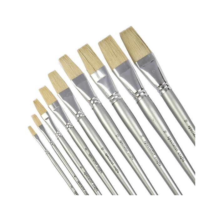 Student Short Silver Handled Flat Hog Brush Bulk Pack