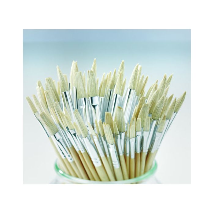 Essential Short Handled Hog Class Pack. Pack of 90 Essential Short Handled Hog Class Pack. Pack of 90