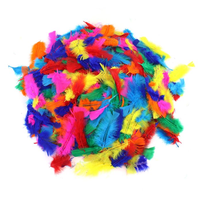 Assorted Feathers Pack Assorted Feathers Pack