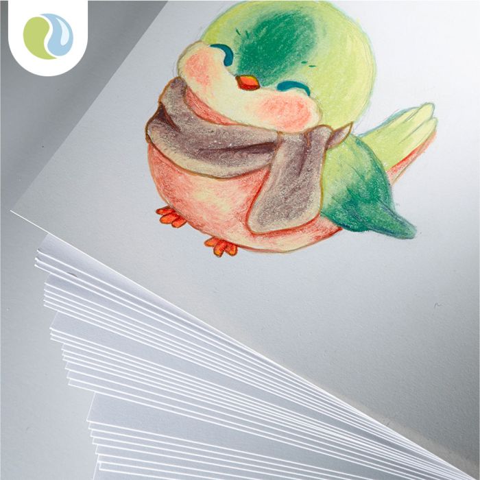 Heavyweight Cartridge Paper 220gsm